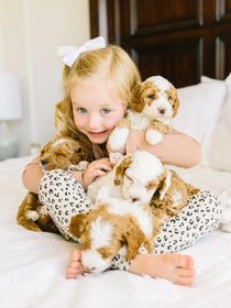 Child with a Goldendoodle
