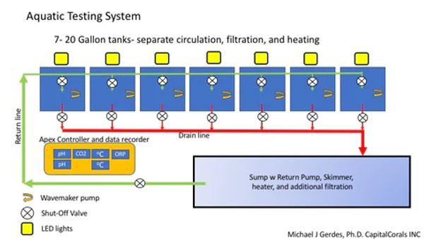 Design layout of one test system at CapitalCorals R&R.