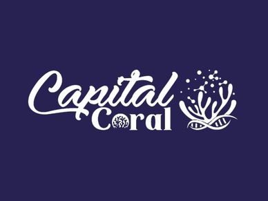 CapitalCoral Logo