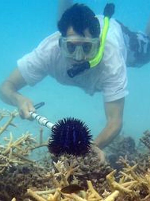 Eric Borneman- Chief Coral Scientist