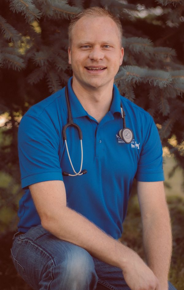 veterinary clinics near me
veterinary clinic near me
emergency vet service


