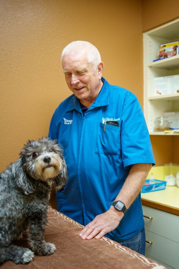 
veterinary appointment book
wellness plans for dogs
dog wellness plans

meridian quick care
