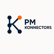 PMKonnectors: ​PROJECT AND ORGANIZATIONAL SUCCESS