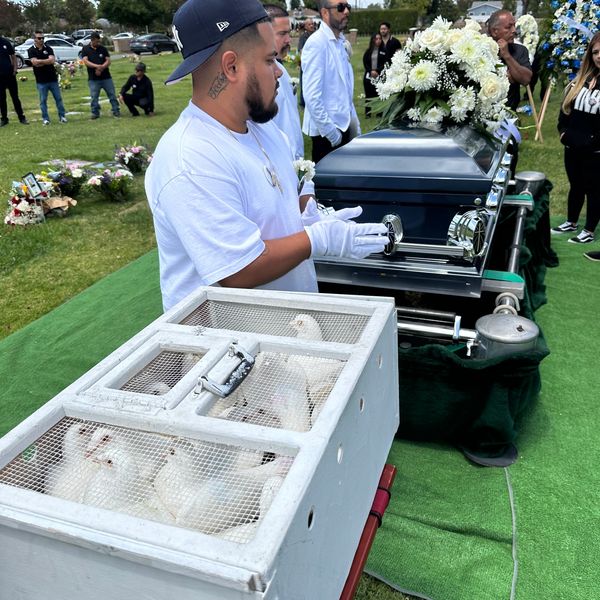 White Dove Release for Funerals