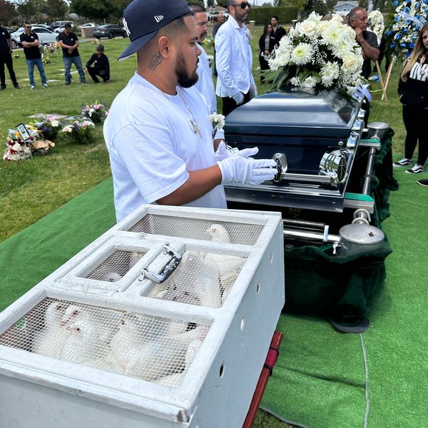 White Dove Release for Funeral