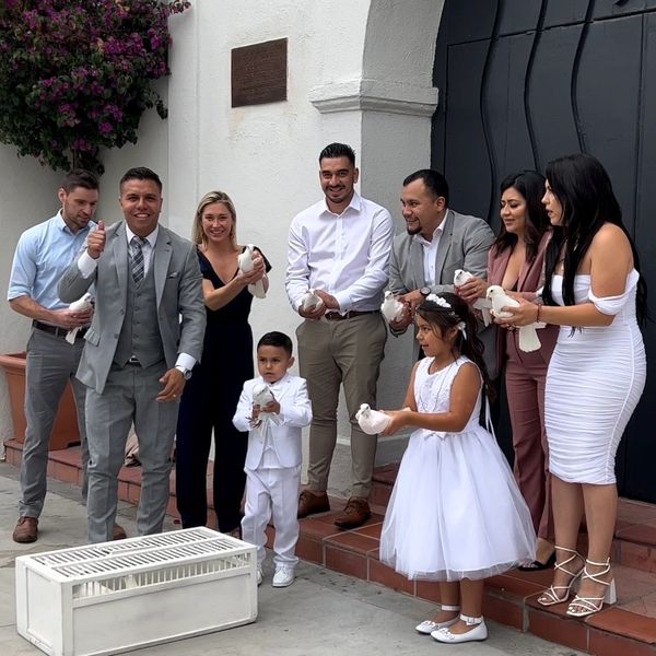 white dove release
