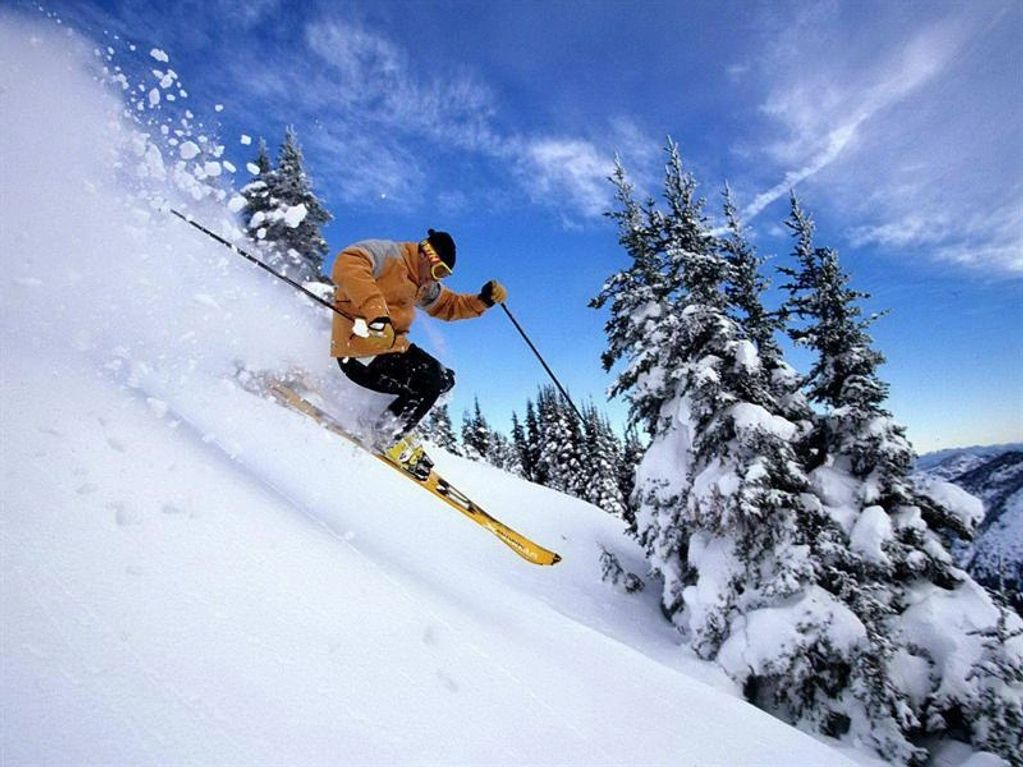 Ski, snow shoe, snowmobile or hike in the mountains!