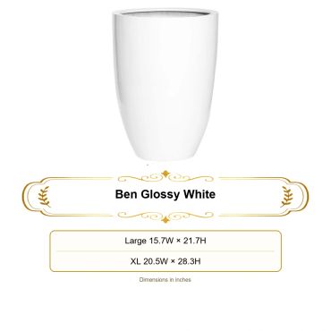White glossy Garden planter with size options.