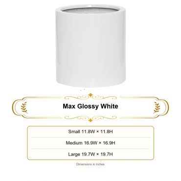 Glossy white cylindrical pot set with three size options. Interior and exterior Designers choose.