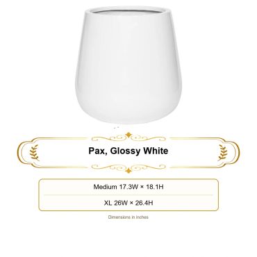 Luxury Glossy white  planters in different shapes and sizes to enhace any space.