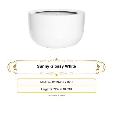 Sunny Glossy White bowl planter with two dimensions.