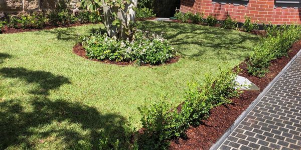 Landscaping and turf installation of sir walter buffalo installed by Sydney turf installers