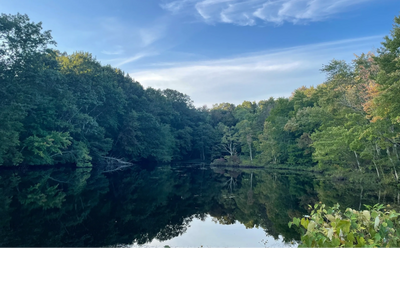 Beautiful Connecticut at Its Best!
Thank You Swetha Ravi!
