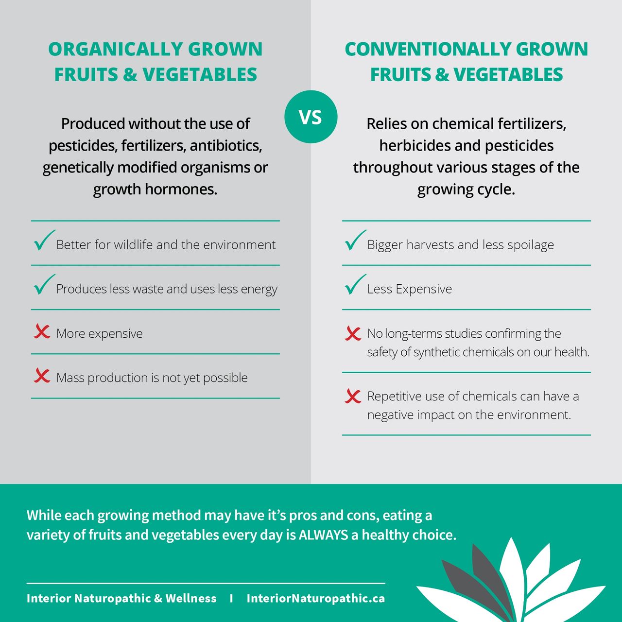 Organic vs. Conventionally Grown Produce: What's the difference?