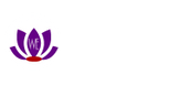 We Network