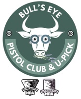 bullseyepistolclub.com