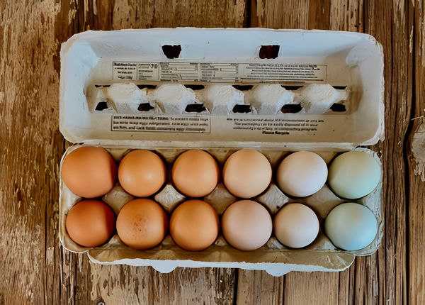 A carton of multi-colored farm fresh eggs