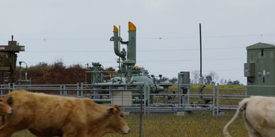 Coal Seam Gas (CSG) SIA, Stakeholder Engagement and Land Use Coexistence, Queensland, Australia