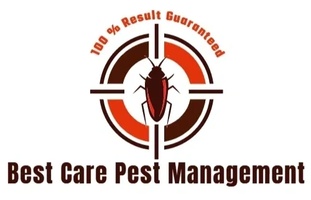 bestcarepestmanagement