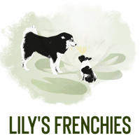 Lilys Frenchies