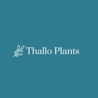 Thallo Plants