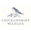 Chickahominy Wildlife