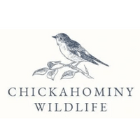 Chickahominy Wildlife