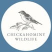 Chickahominy Wildlife