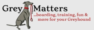 GreyMatters Greyhound