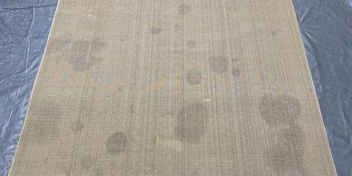 Urine spots ( from dogs and cats)