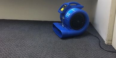 Fans for quicker carpet drying