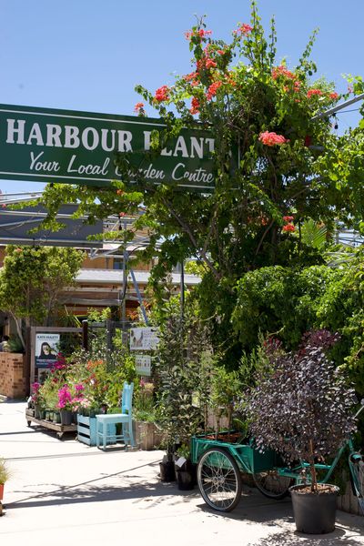 Harbour Plants located in South Fremantle, Western Australia on South Terrace. 