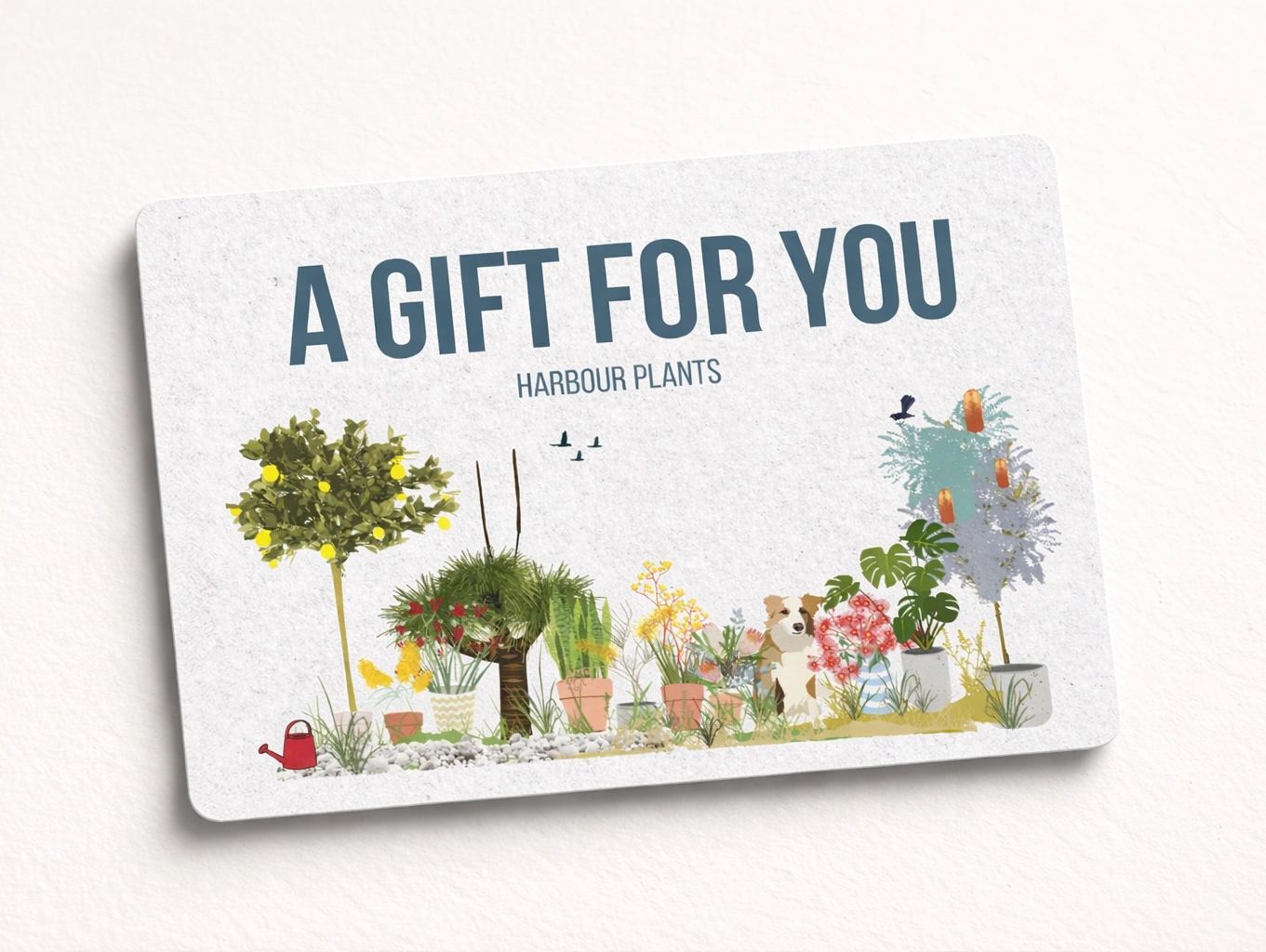 Purchase a Harbour Plants eGift Card Online. 