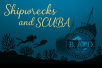 Bay Area Divers 