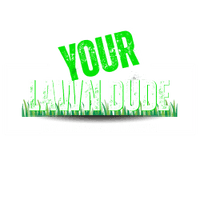 Legacy Lawn