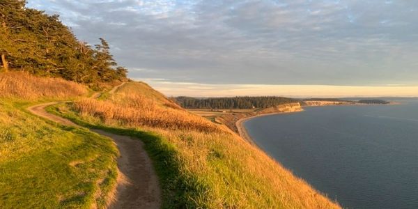 A winding path along a grassy cliff overlooking the ocean at sunset.