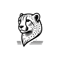 Cheetah 
Financial Services 