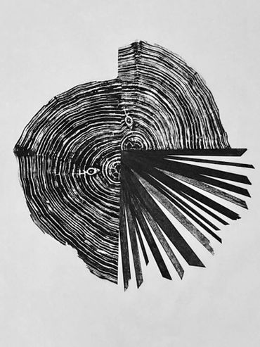 Relief print collage (Tree trunk cross-section & picture frame relief print collage).
