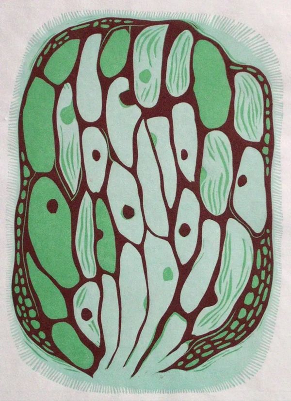 Reduction relief print. Printmaking. Lino block print. cellular. 