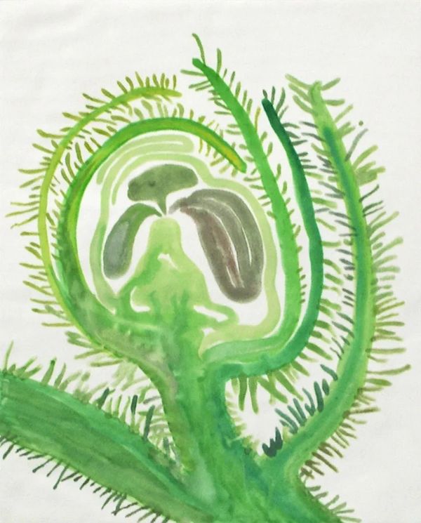 Watercolor monoprint. Printmaking. plant. environmental art.