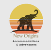 New Origins Travel