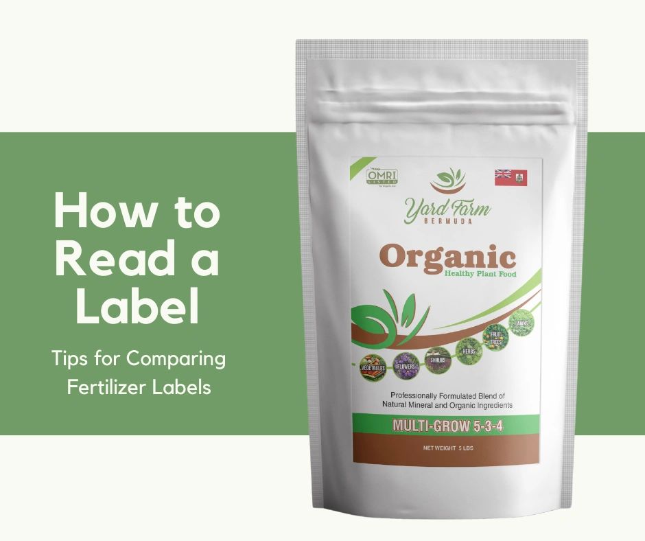 How to read produce labels