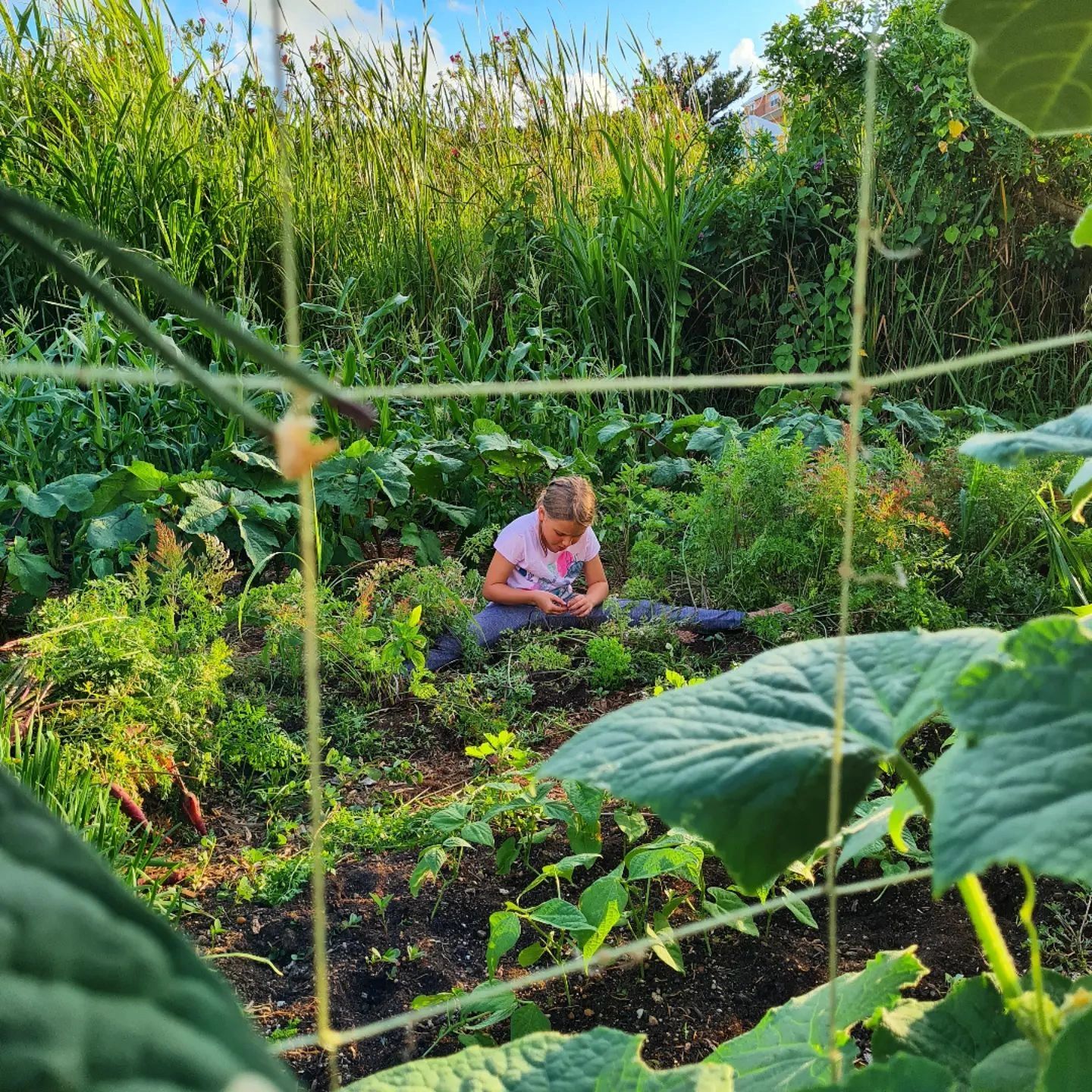 planting-with-the-moon-exploring-the-benefits-of-lunar-gardening