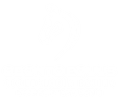 3169459000016607095gc