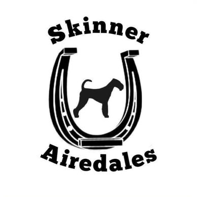 Logo with a horseshoe and an Airedale dog silhouette, labeled 'Skinner Airedales'.