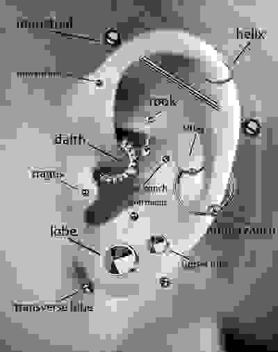 Ear Piercing Chart

