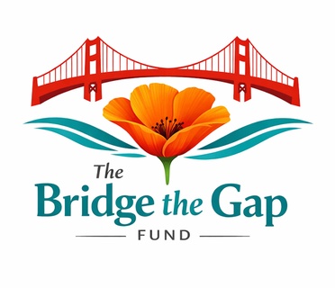 thebridgegapfund.org