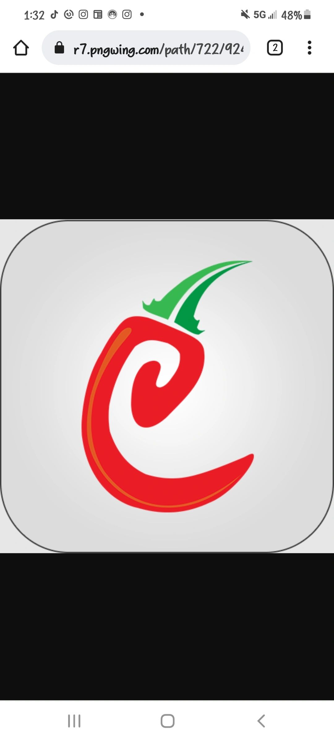 Peppers Landesign Services Stamped Concrete Denver, Colorado