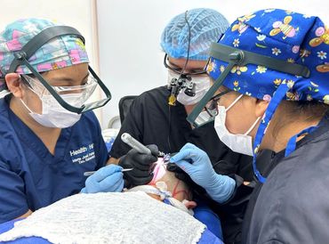 Intervención de microtransplant capilar en Cumbayá. 