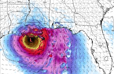 The NAM model, run on 8/28/21. This shows Hurricane Ida nearing landfall in Louisiana on 8/29/21.